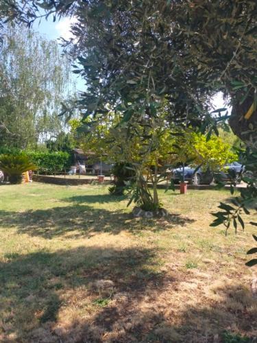 Independent Villa With Private Beach On The Lake 布拉恰诺 外观 照片